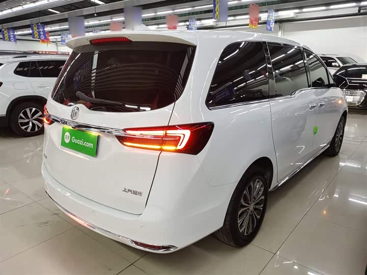 Фото 7 - Buick GL8 ES