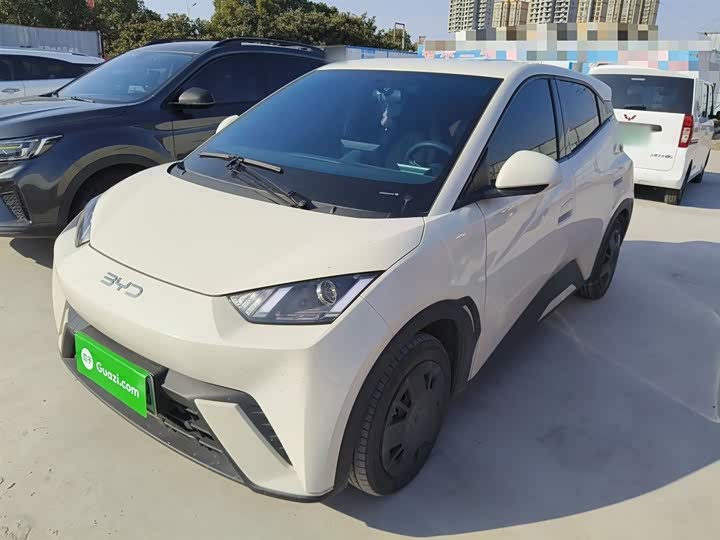 Фото 2 - BYD Seagull