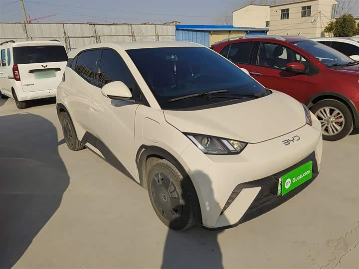 Фото 4 - BYD Seagull