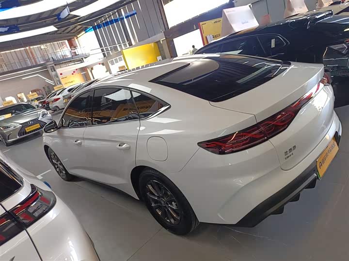 Фото 5 - BYD Qin L