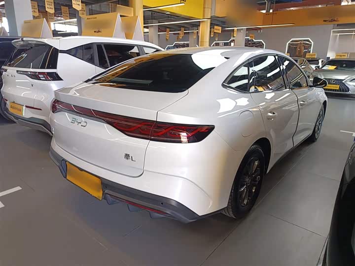 Фото 7 - BYD Qin L