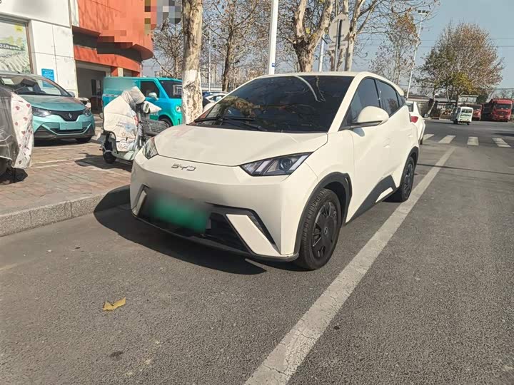 Фото 1 - BYD Seagull