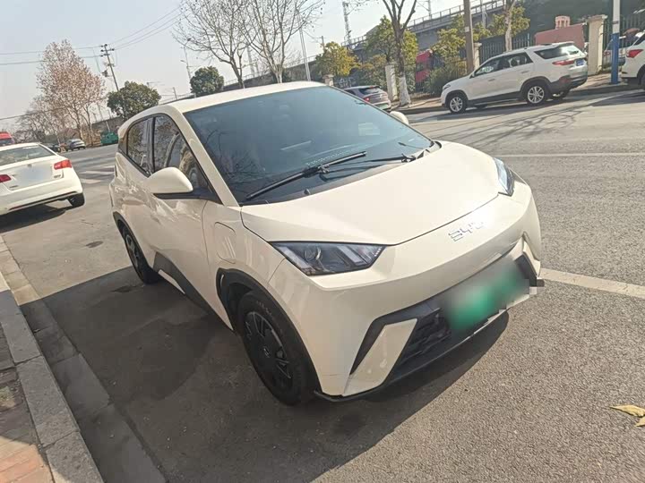 Фото 4 - BYD Seagull