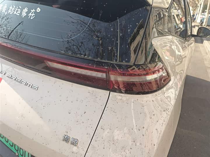 Фото 8 - BYD Seagull