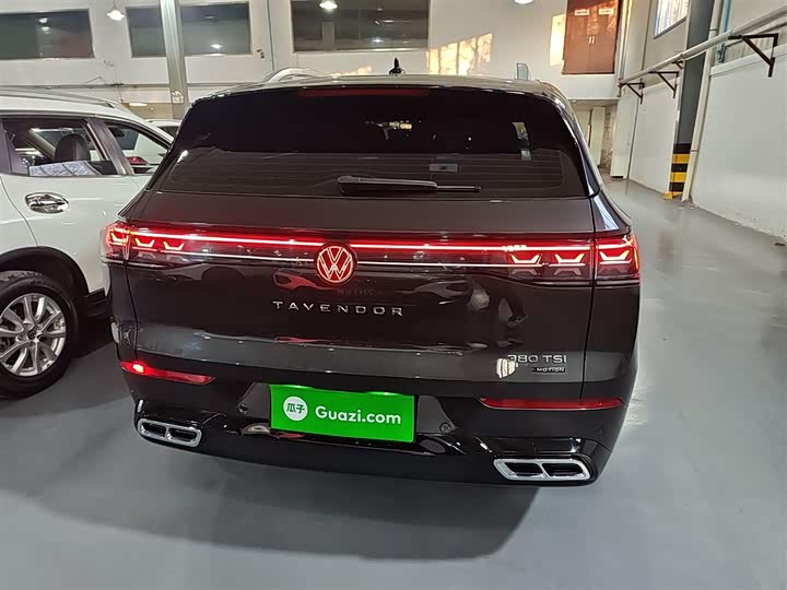 Фото 6 - Volkswagen Tavendor