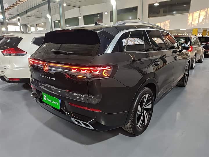 Фото 7 - Volkswagen Tavendor