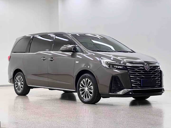 Фото 3 - Buick GL8 ES