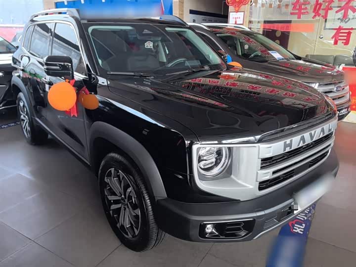 Фото 4 - Haval Dargo