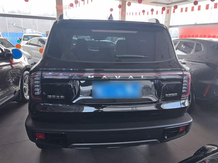 Фото 6 - Haval Dargo
