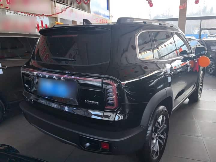 Фото 7 - Haval Dargo