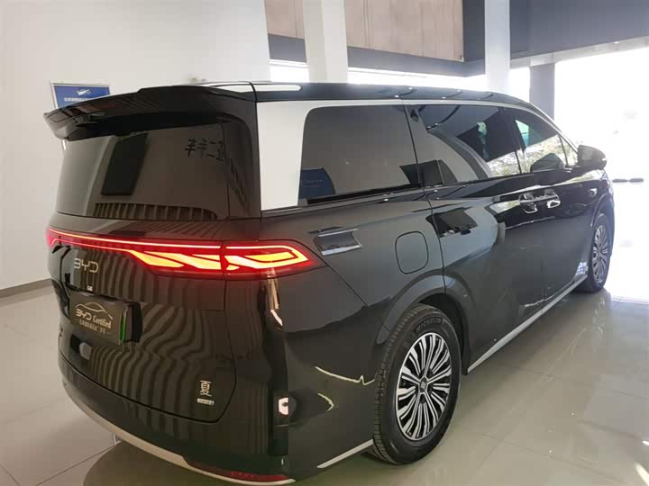 Фото 7 - BYD Xia