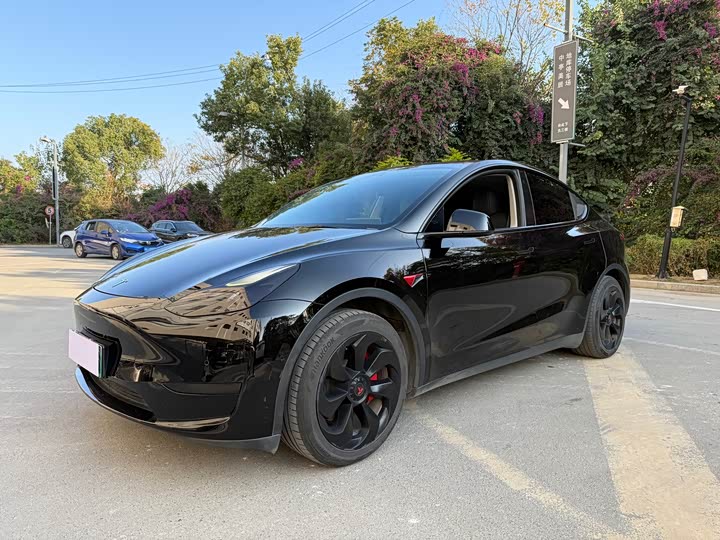 Фото 1 - Tesla Model Y