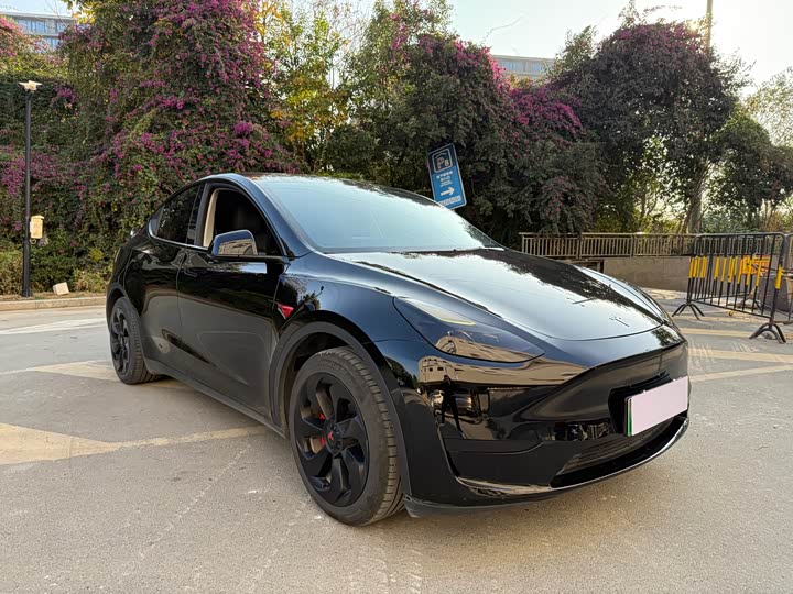 Фото 3 - Tesla Model Y