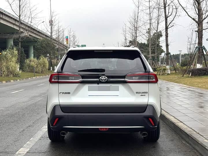 Фото 8 - Toyota Wildlander