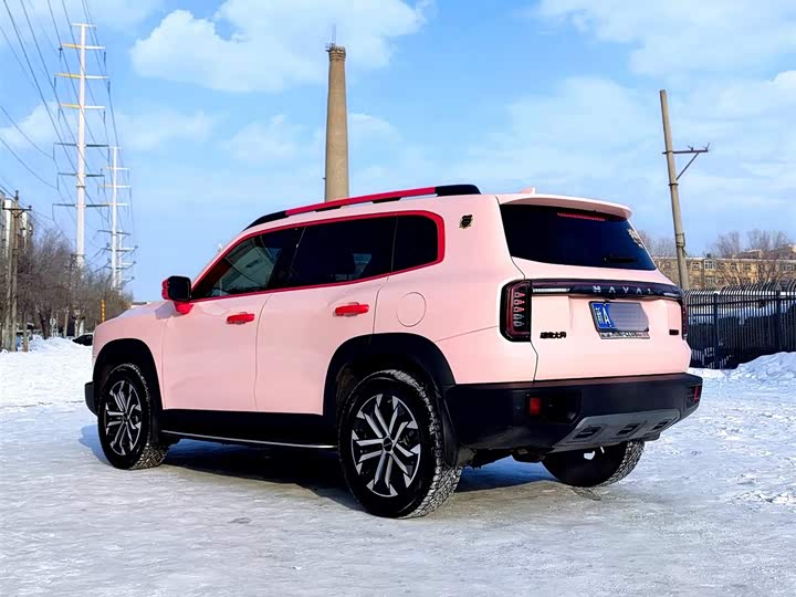 Фото 6 - Haval Dargo