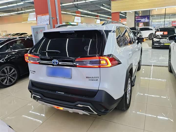Фото 7 - Toyota Wildlander