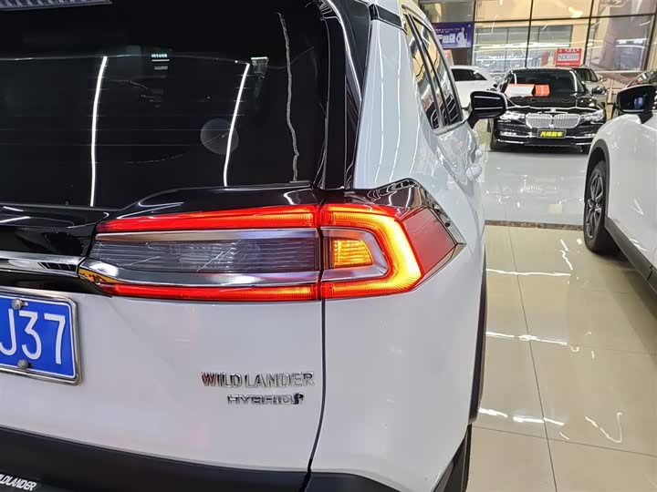 Фото 8 - Toyota Wildlander