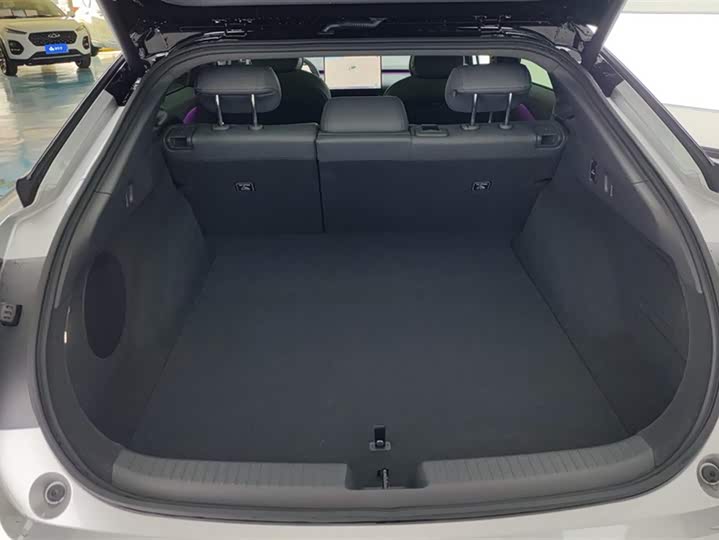 Фото 4 - XPeng F57