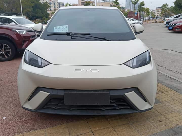 Фото 2 - BYD Seagull