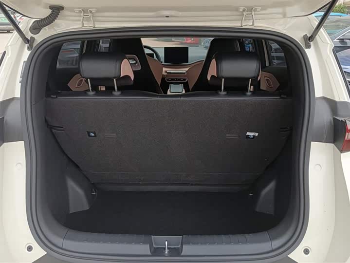 Фото 4 - BYD Seagull