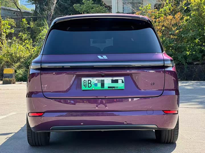 Фото 4 - LiXiang L9