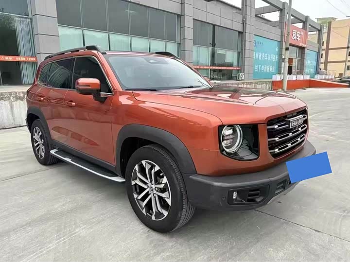 Фото 3 - Haval Dargo