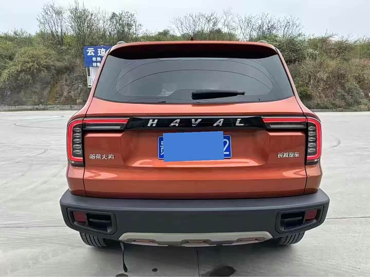 Фото 4 - Haval Dargo