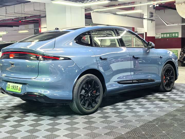 Фото 7 - IM motors LS6