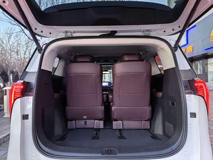 Фото 7 - Buick GL8 Century