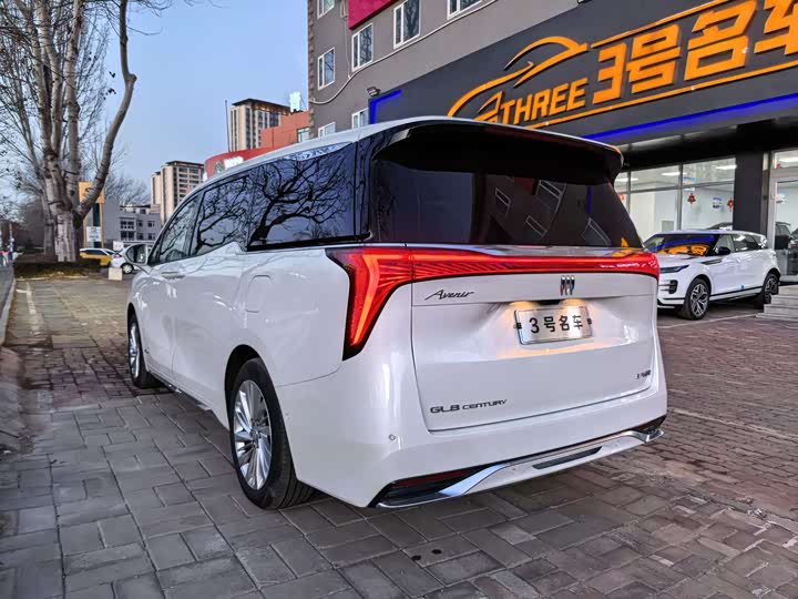 Фото 8 - Buick GL8 Century