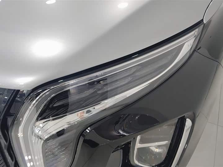 Фото 5 - Hongqi HS7 Hybrid