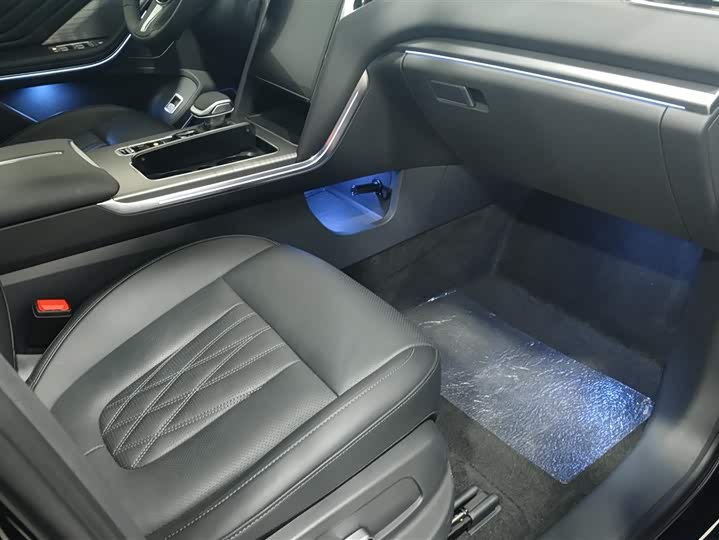 Фото 8 - Hongqi HS7 Hybrid