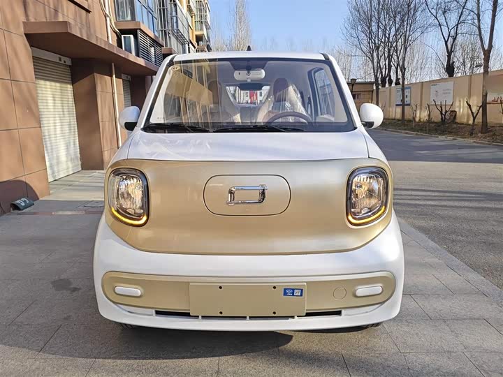 Фото 3 - Bestune Pony