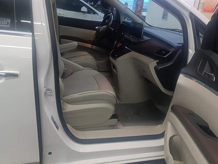 Фото 8 - Buick GL8 ES