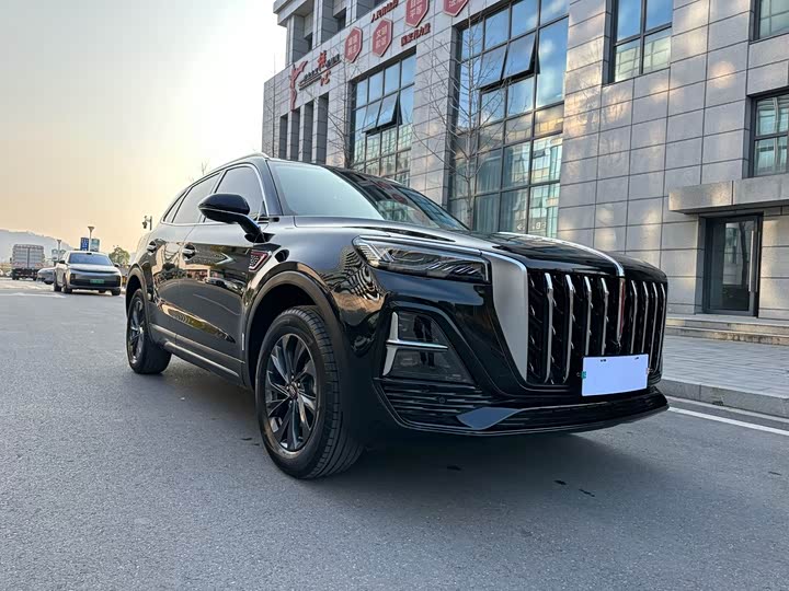 Фото 3 - Hongqi HS5