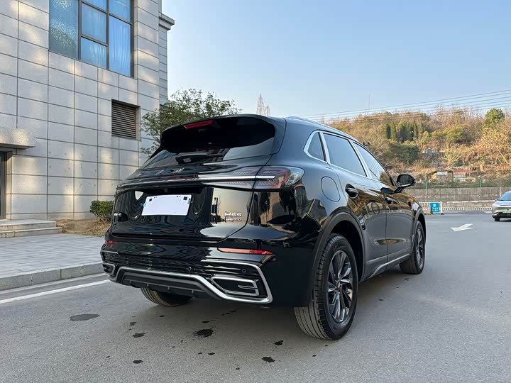 Фото 4 - Hongqi HS5