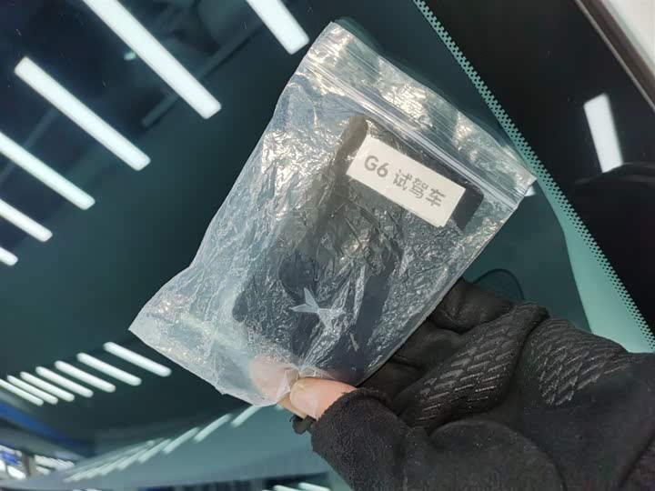 Фото 9 - XPeng G6