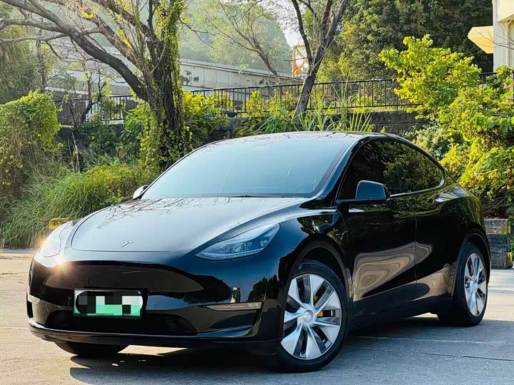 Фото 1 - Tesla Model Y