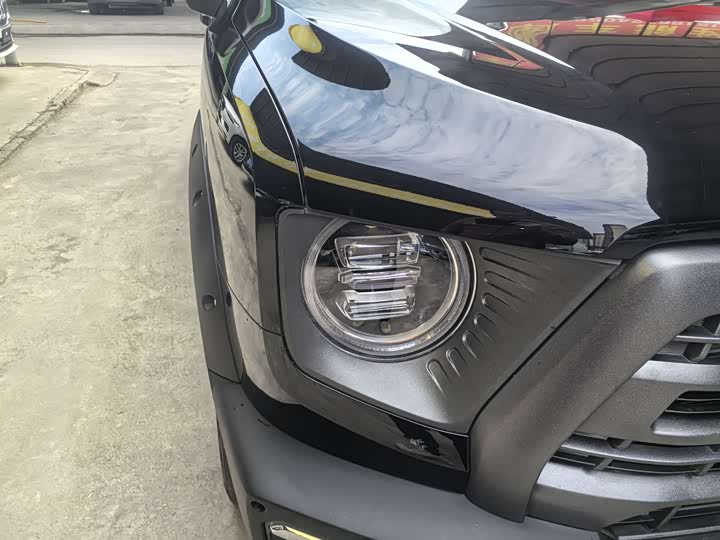 Фото 4 - Haval Dargo