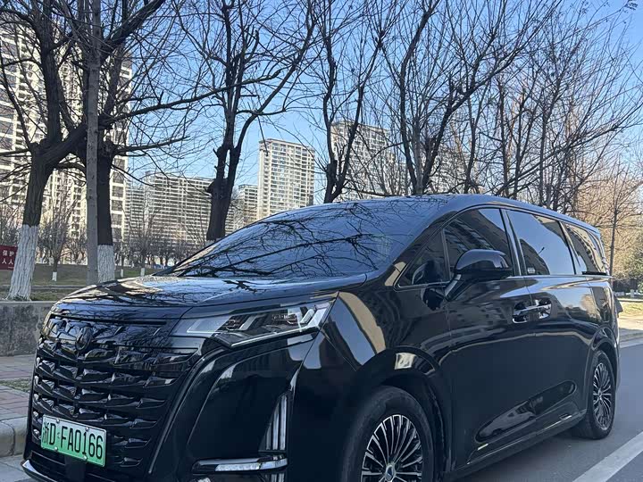 Фото 1 - Denza D9