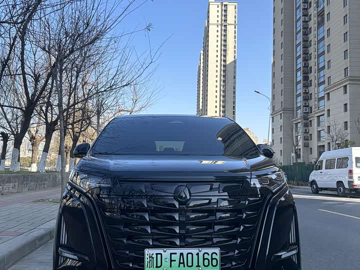 Фото 2 - Denza D9