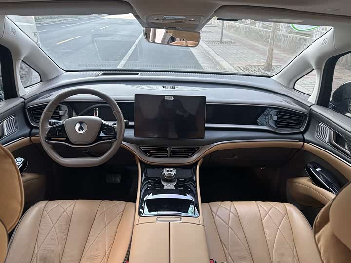 Фото 6 - Denza D9