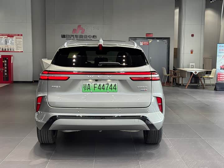 Фото 6 - Wey Mocca Hybrid