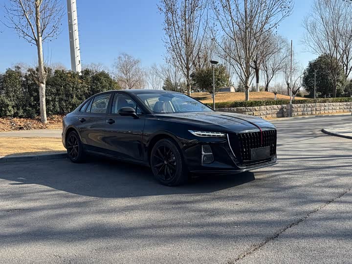 Фото 3 - Hongqi H5