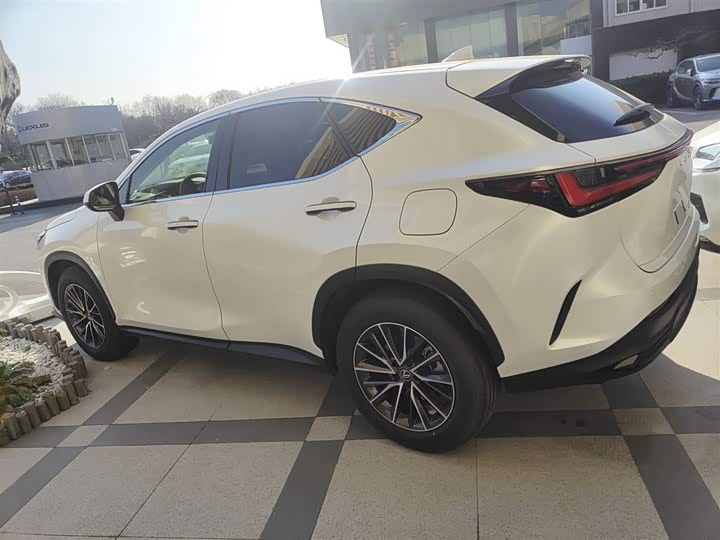 Фото 5 - Lexus NX