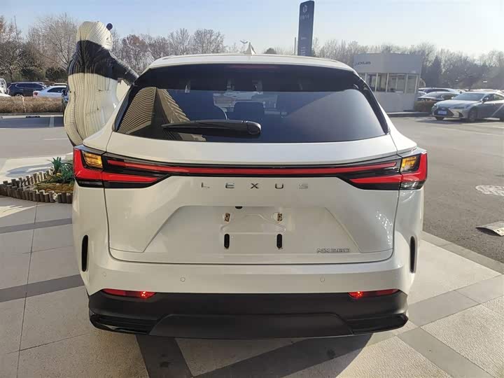 Фото 6 - Lexus NX