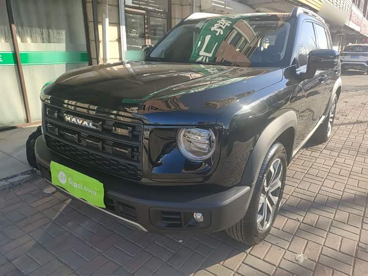 Фото 2 - Haval Dargo