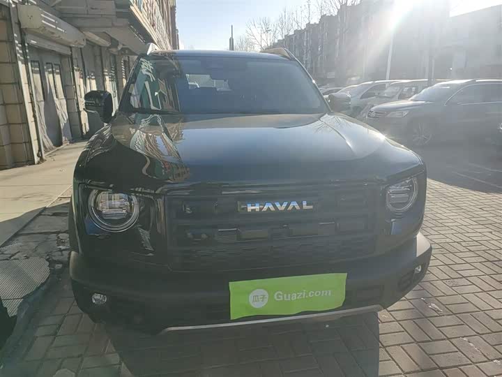 Фото 3 - Haval Dargo