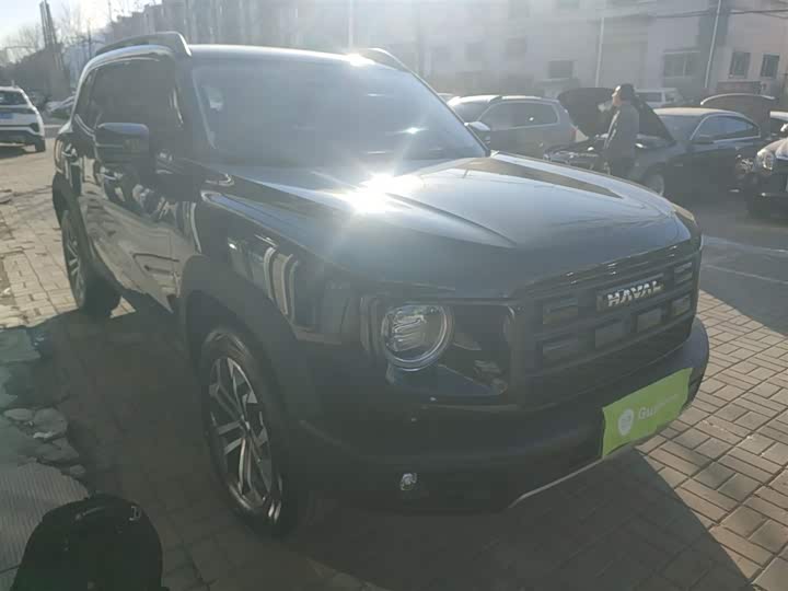 Фото 4 - Haval Dargo