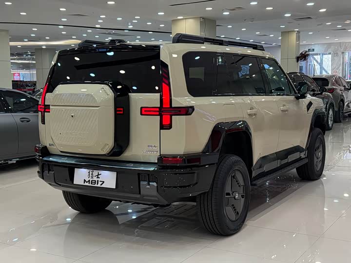 Фото 9 - Dongfeng Mengshi M18-3